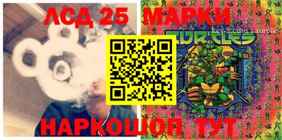СК Кимры