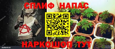 дистиллят марихуана Кингисепп