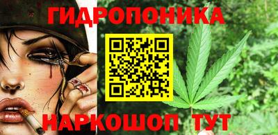 СК Кимры