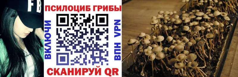 Галлюциногенные грибы Cubensis  darknet наркотические препараты  Серов 