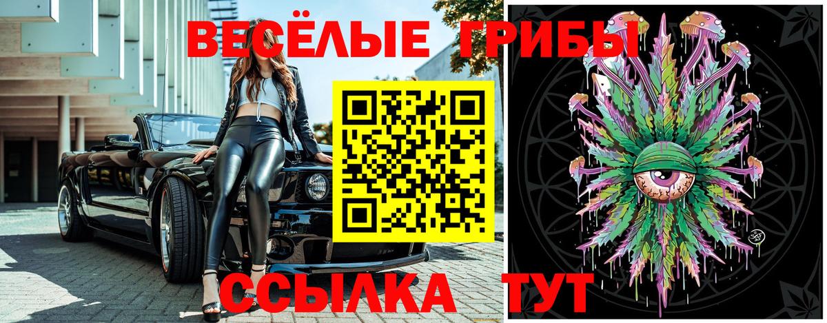 Галлюциногенные грибы Psilocybe  Вход с VPN  Серов 