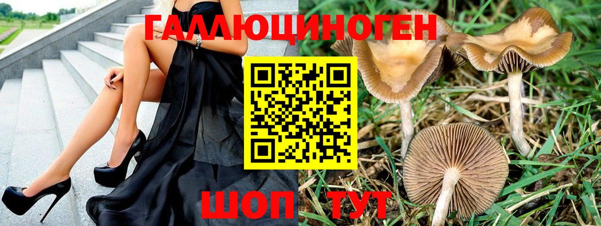 Галлюциногенные грибы ЛСД Серов